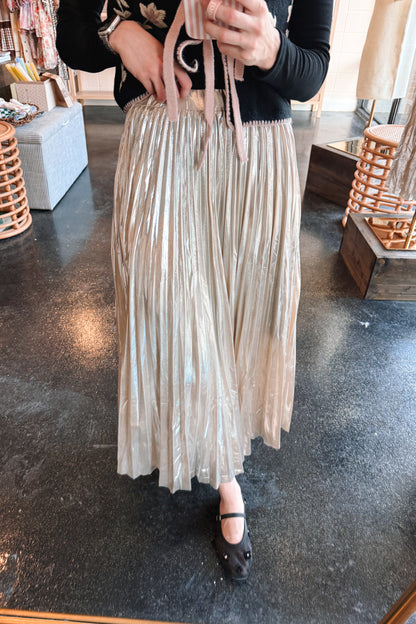 Champagne and Ice Skirt